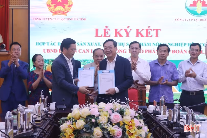 Hà Tĩnh phát triển nông nghiệp theo hướng hàng hóa quy mô lớn