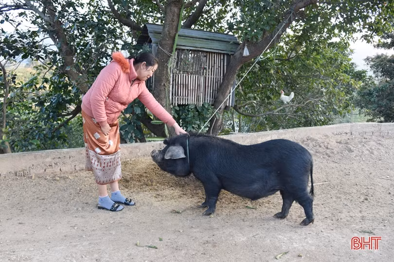 Tết sớm của đồng bào Việt trên đất bạn Lào