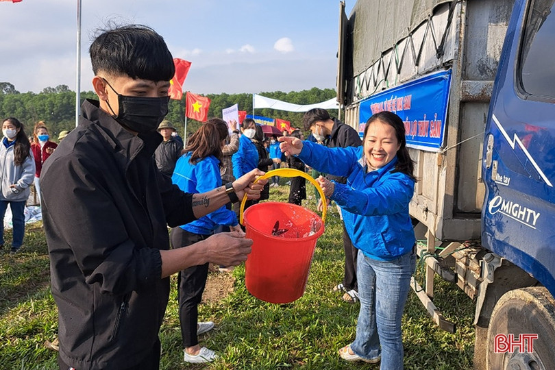 Thả 2 tấn cá giống xuống Vực Rào ở Nghi Xuân 