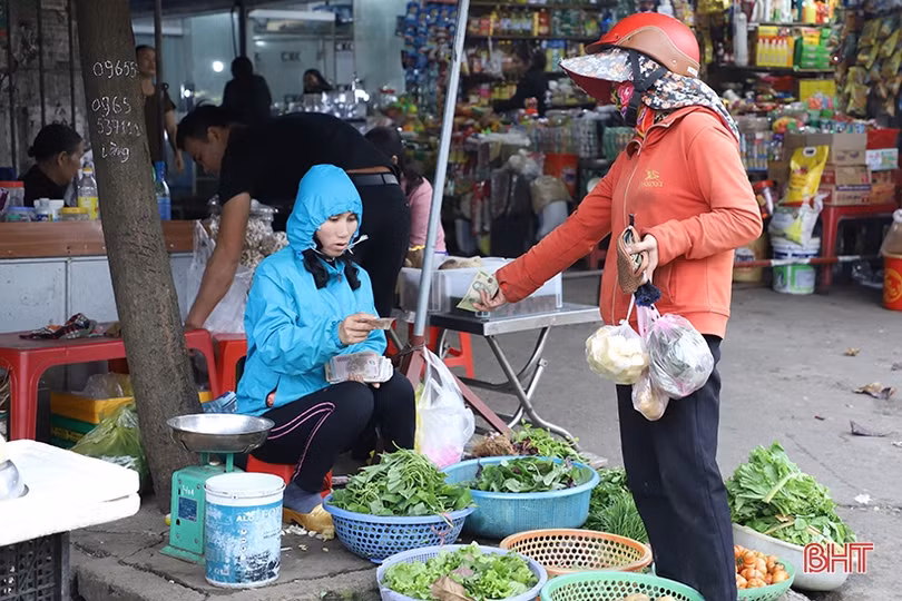 Nguồn cung ổn định nhưng giá rau xanh tại Hà Tĩnh vẫn không “giảm sâu”