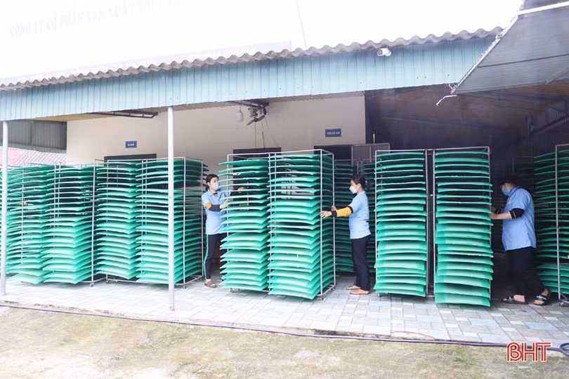 Cơ sở sản xuất sản phẩm OCOP Hà Tĩnh tất bật tăng ca phục vụ thị trường tết