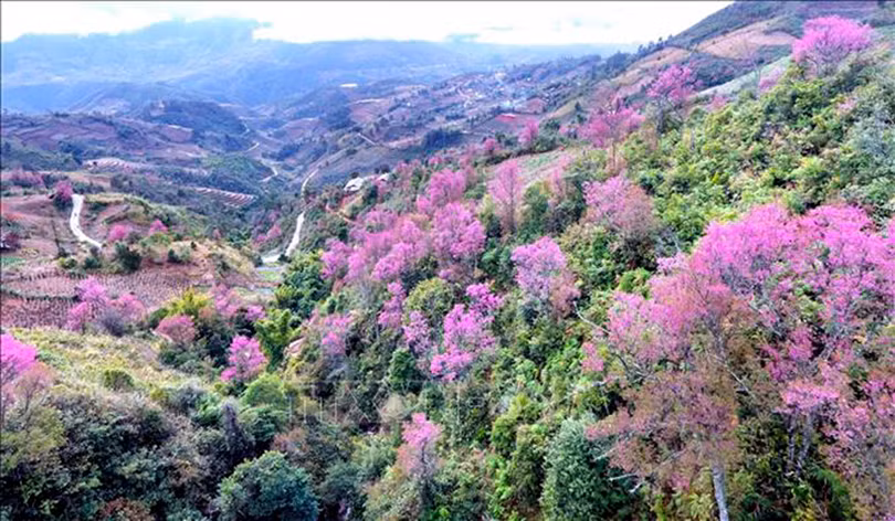 Lời hứa mùa xuân