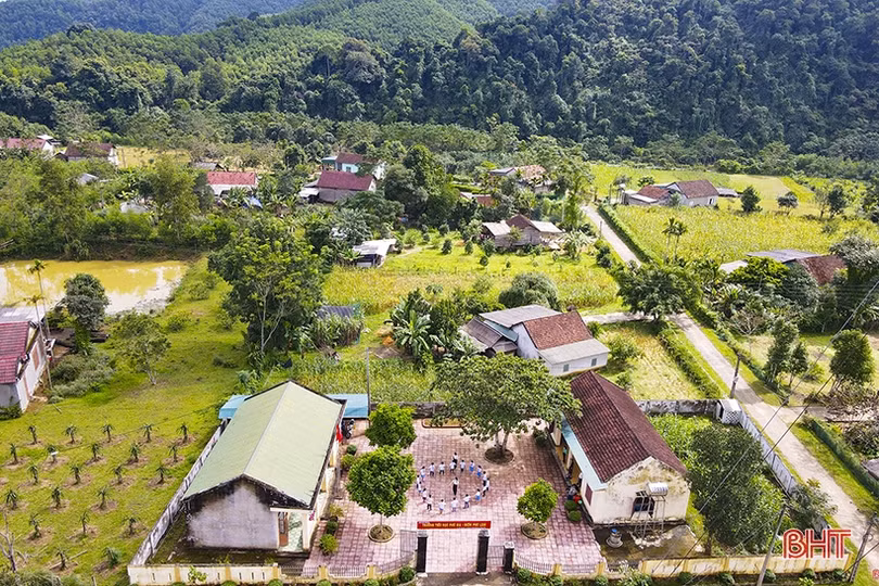 Lời hứa mùa xuân