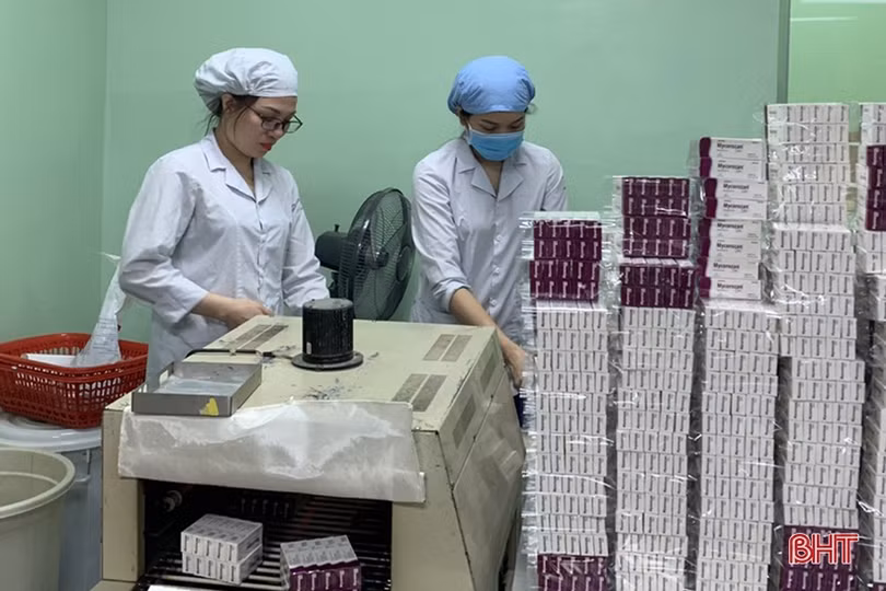 Dư nợ tín dụng Hà Tĩnh tăng mạnh, tiếp sức phục hồi kinh tế