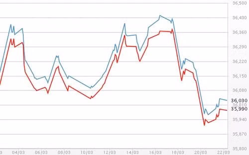 Diễn biến giá vàng SJC tại DOJI - Nguồn: DOJI.