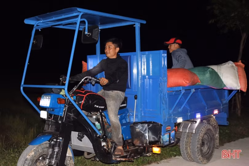 Nông dân Hà Tĩnh tranh thủ gặt đêm, đẩy nhanh tiến độ thu hoạch