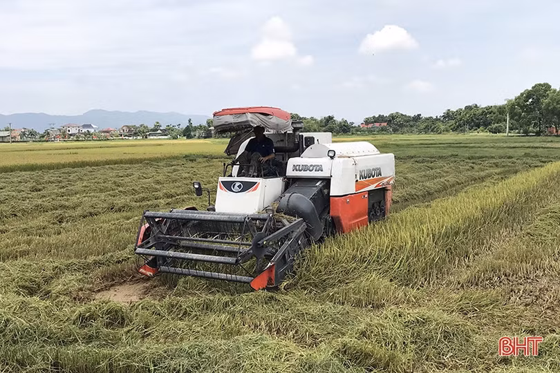 Nông dân Hà Tĩnh tốc lực thu hoạch lúa xuân