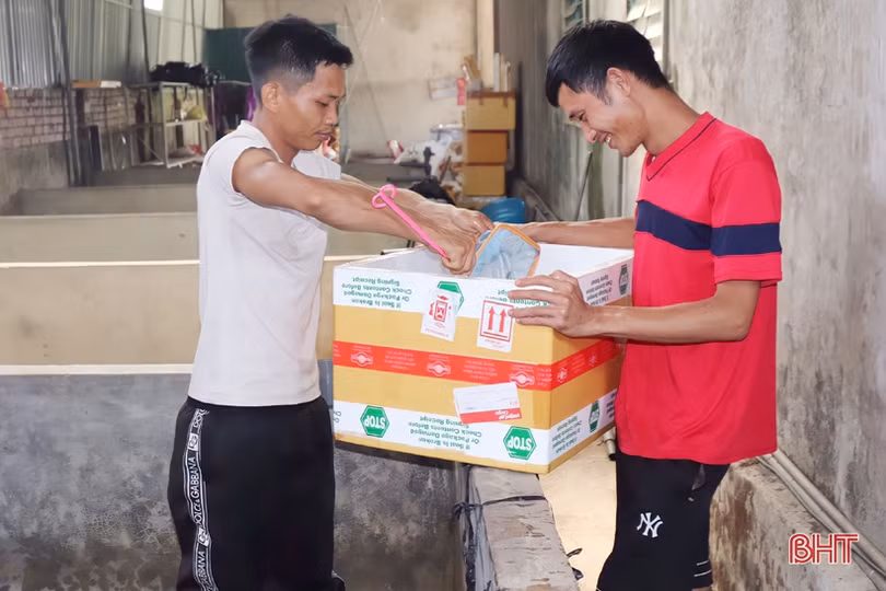 Khởi nghiệp bằng nuôi lươn không bùn