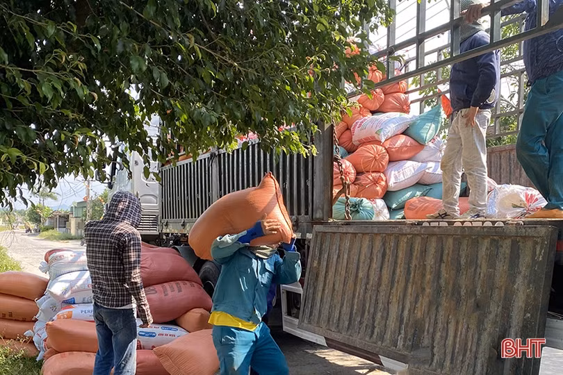 Giá thu mua lúa tươi giảm, nông dân Hà Tĩnh “kém” vui