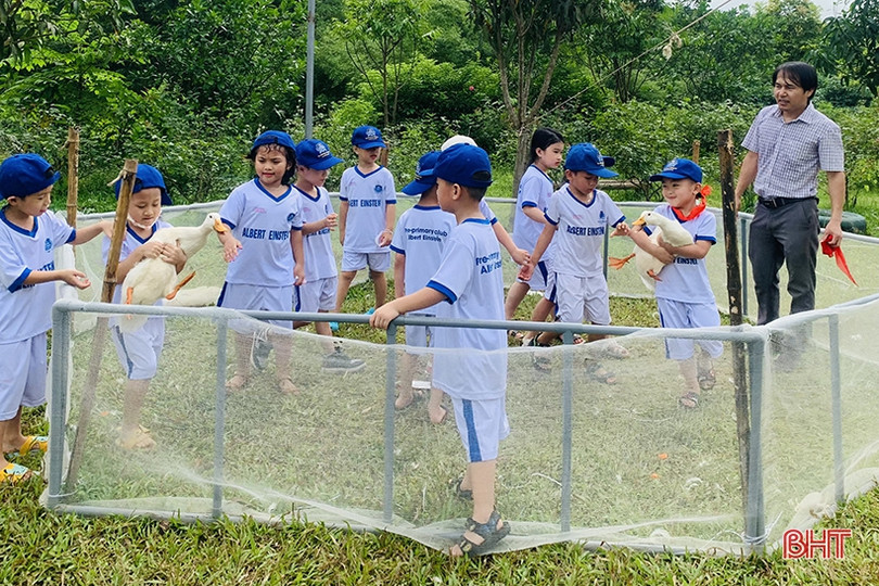 Lưu giữ những kỷ niệm đẹp với CLB Tiền tiểu học Albert Einstein