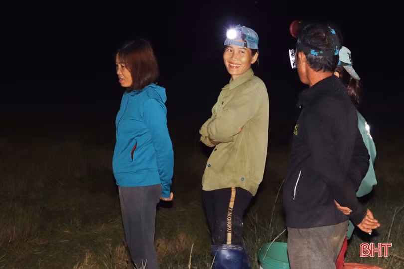 Nông dân Hà Tĩnh tranh thủ gặt đêm, đẩy nhanh tiến độ thu hoạch