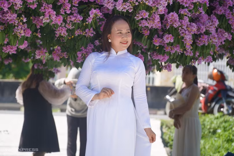 Cây bằng lăng hút khách ở Bình Thuận