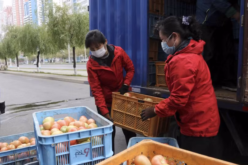 Triều Tiên trong làn sóng dịch COVID-19 đầu tiên
