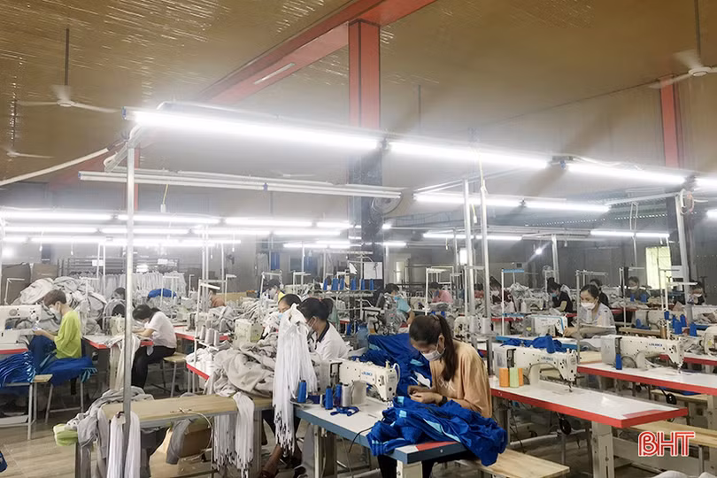 Chàng trai người Huế khởi nghiệp tại Hà Tĩnh, tạo việc làm cho hàng chục lao động nông thôn