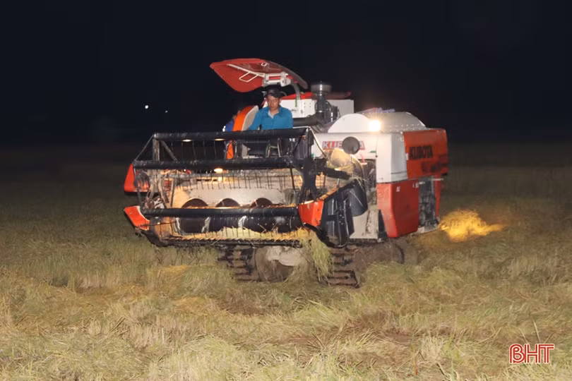 Nông dân Hà Tĩnh tranh thủ gặt đêm, đẩy nhanh tiến độ thu hoạch