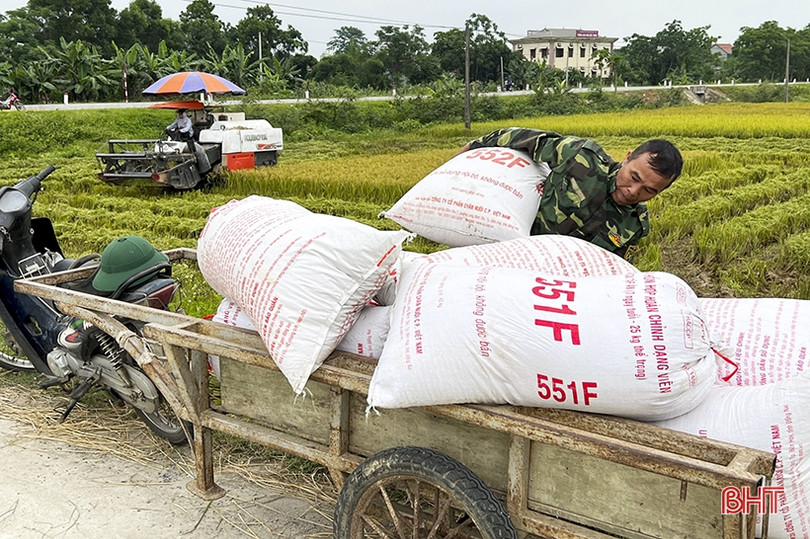 Mùa vui trên những cánh đồng Đức Thọ