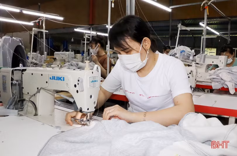 Chàng trai người Huế khởi nghiệp tại Hà Tĩnh, tạo việc làm cho hàng chục lao động nông thôn