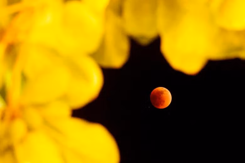 Nguyệt thực toàn phần đầu tiên của năm 2022 trên bầu trời thế giới