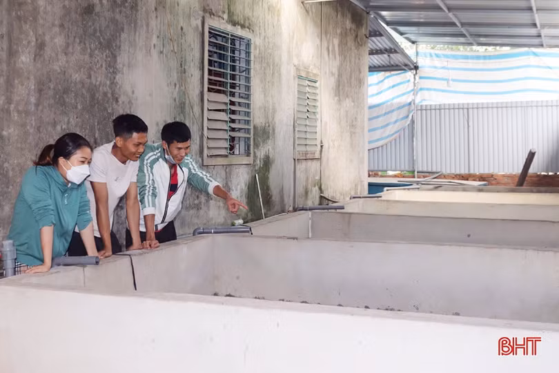 Khởi nghiệp bằng nuôi lươn không bùn