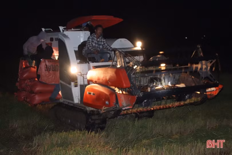 Nông dân Hà Tĩnh tranh thủ gặt đêm, đẩy nhanh tiến độ thu hoạch