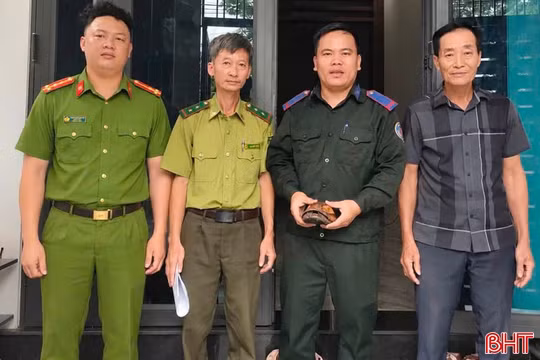 Người dân tự nguyện giao nộp cá thể rùa vàng quý hiếm