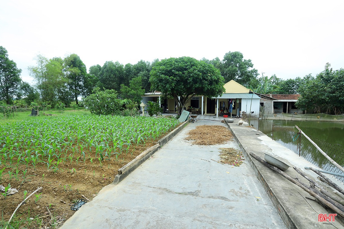 bqbht_br_tai-dinh-cu-duong-sat-cao-toc-02.jpg