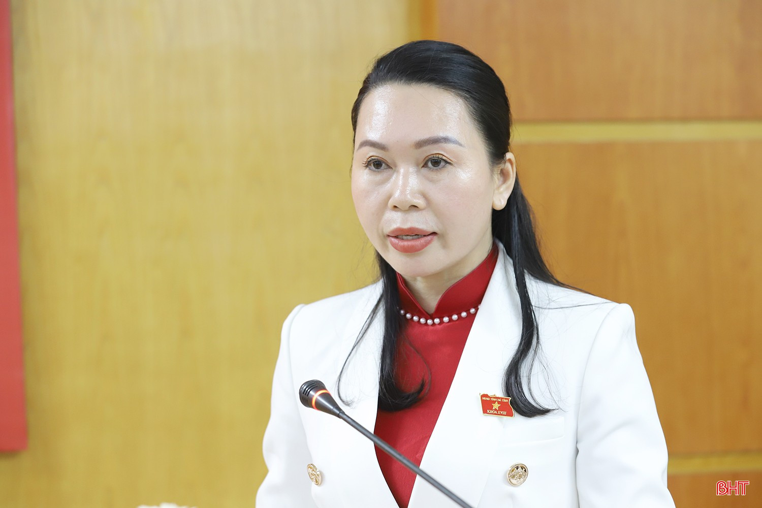 Trưởng ban Văn hóa - Xã hội HĐND tỉnh Đào Thị Anh Nga trình bày báo cáo thẩm tra của các ban HĐND tỉnh. bqbht_br_ky-hop-32-hdnd-tinh-ha-tinh-0.jpg