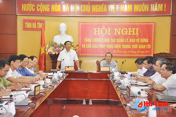 thu hoi giay phep dung hoat dong nhung du an khong trong rung thay the