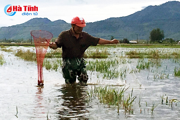 san loc troi tren dong nuoc lu
