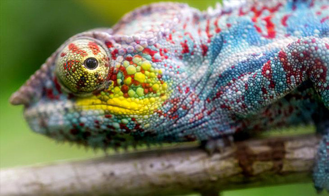 Khám phá nơi cuối cùng con người đến sinh sống ảnh 2 kham pha noi cuoi cung con nguoi den sinh song