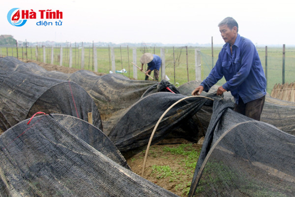 dua vu dong thanh vu chinh nhin tu san pham chu luc