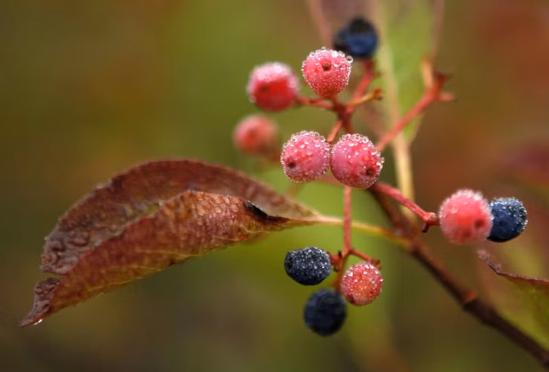 sac mau mua thu khap noi tren the gioi