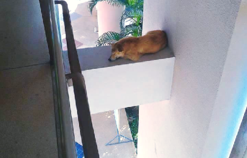 10 anh hai hot nhat facebook trong ngay