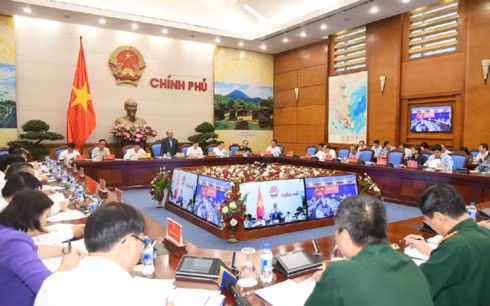 thu hoi giay phep dung hoat dong nhung du an khong trong rung thay the