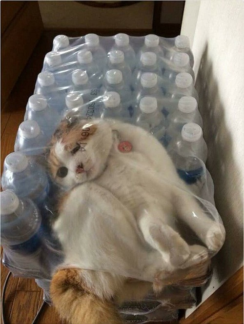 10 anh hai hot nhat facebook trong ngay