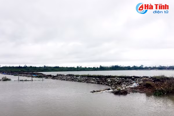 vo de bao hang chuc hec ta nuoi trong thuy san o thach bang bi xoa so