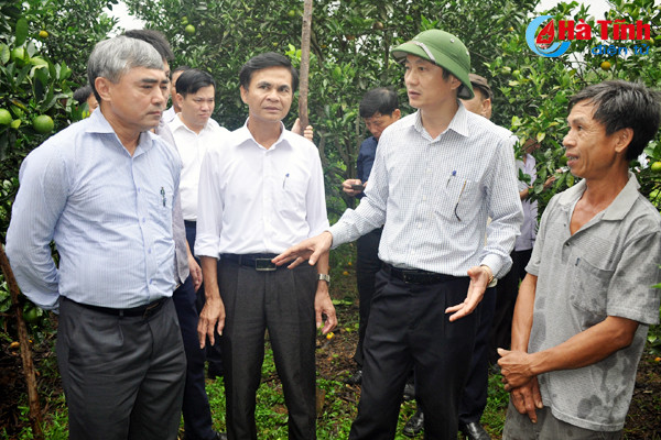 ban chi dao trung uong an tuong voi cac chuong trinh mtqg o ha tinh