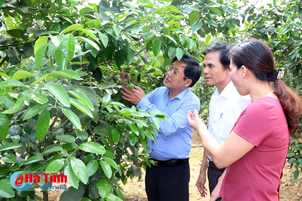 hon 9 4 ty dong thi khu dan cu ntm kieu mau vuon mau