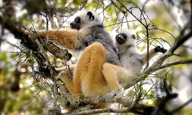 Khám phá nơi cuối cùng con người đến sinh sống ảnh 3 kham pha noi cuoi cung con nguoi den sinh song