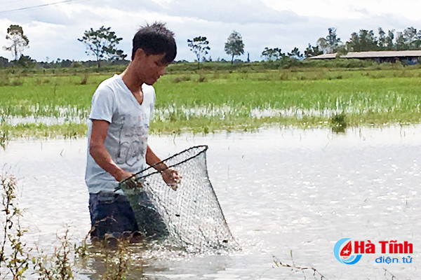 san loc troi tren dong nuoc lu
