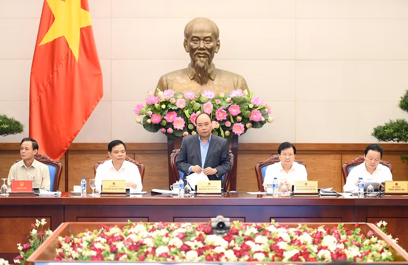 thu hoi giay phep dung hoat dong nhung du an khong trong rung thay the