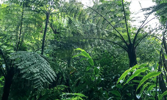 Khám phá nơi cuối cùng con người đến sinh sống ảnh 1 kham pha noi cuoi cung con nguoi den sinh song