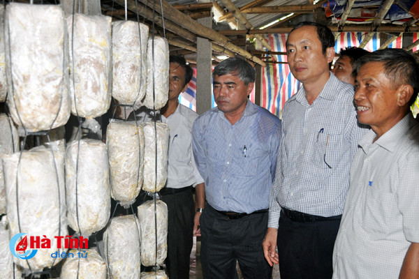 ban chi dao trung uong an tuong voi cac chuong trinh mtqg o ha tinh