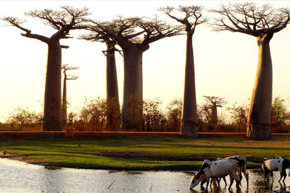 Khám phá nơi cuối cùng con người đến sinh sống ảnh 6 kham pha noi cuoi cung con nguoi den sinh song