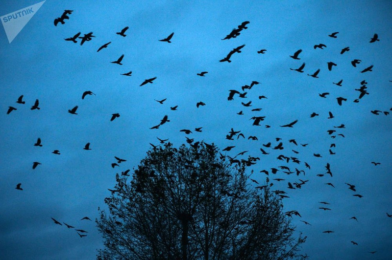 sac mau mua thu khap noi tren the gioi