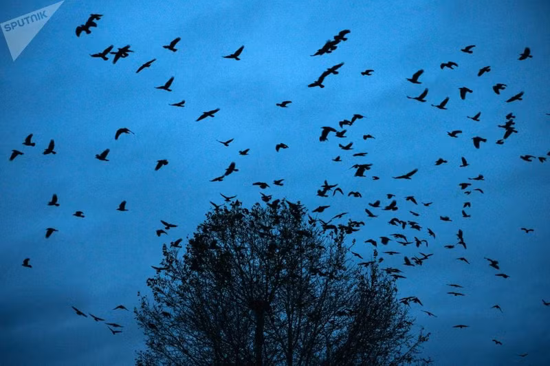 sac mau mua thu khap noi tren the gioi