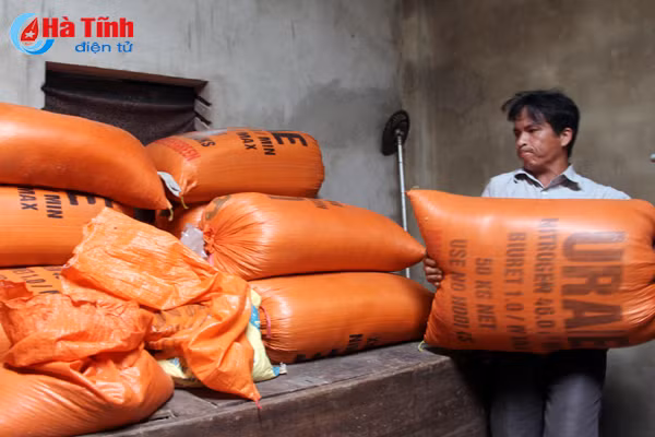 ke lua sua thuyen san sang ung pho voi mua to xa tran ke go