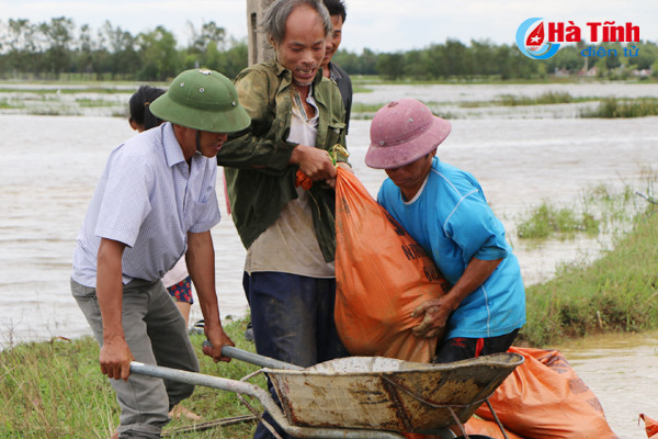 video 4 gio doc suc cuu de huu phu