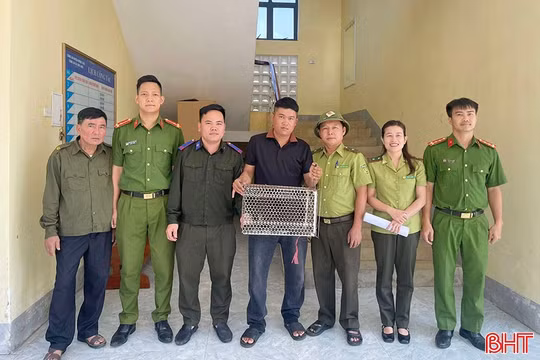 Bàn giao cá thể trăn đất cho cơ quan chức năng