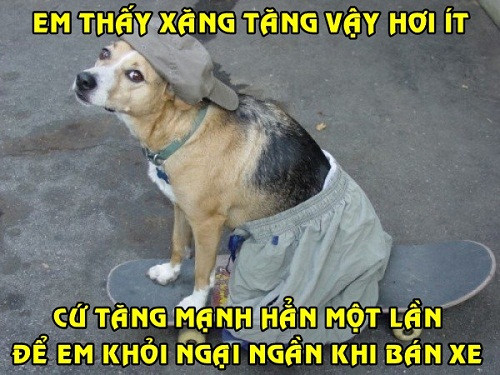 anh che gia xang tiep tuc tang 700 dong